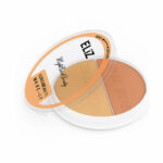 رژگونه هایلایتر الیزکیتا شماره 206